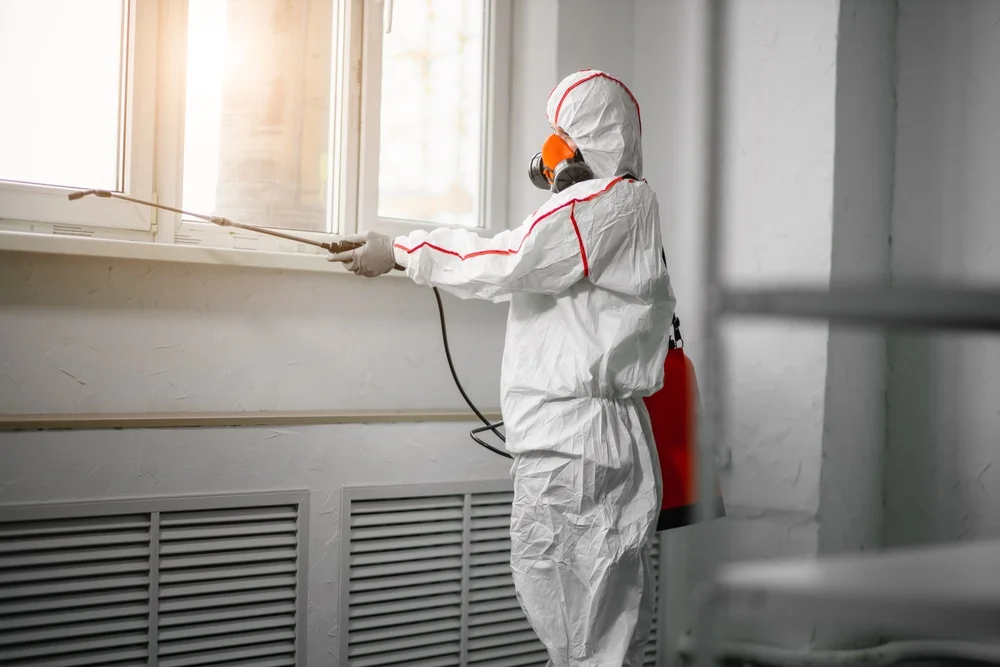 Professional mold remediation services in Hampshire, IL